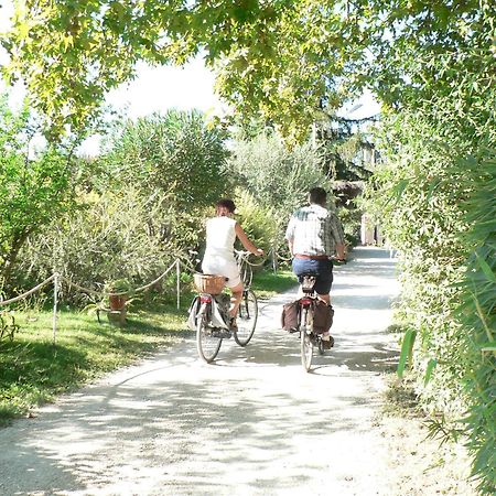 International Glamping Lago Di Bracciano Trevignano Romano Exterior photo