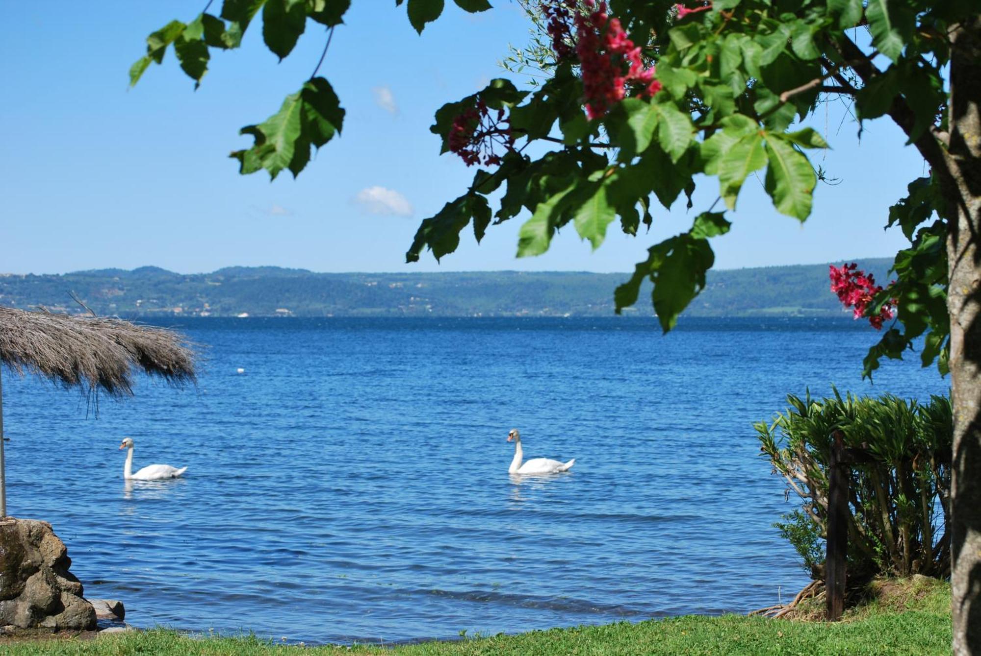International Glamping Lago Di Bracciano Trevignano Romano Exterior photo