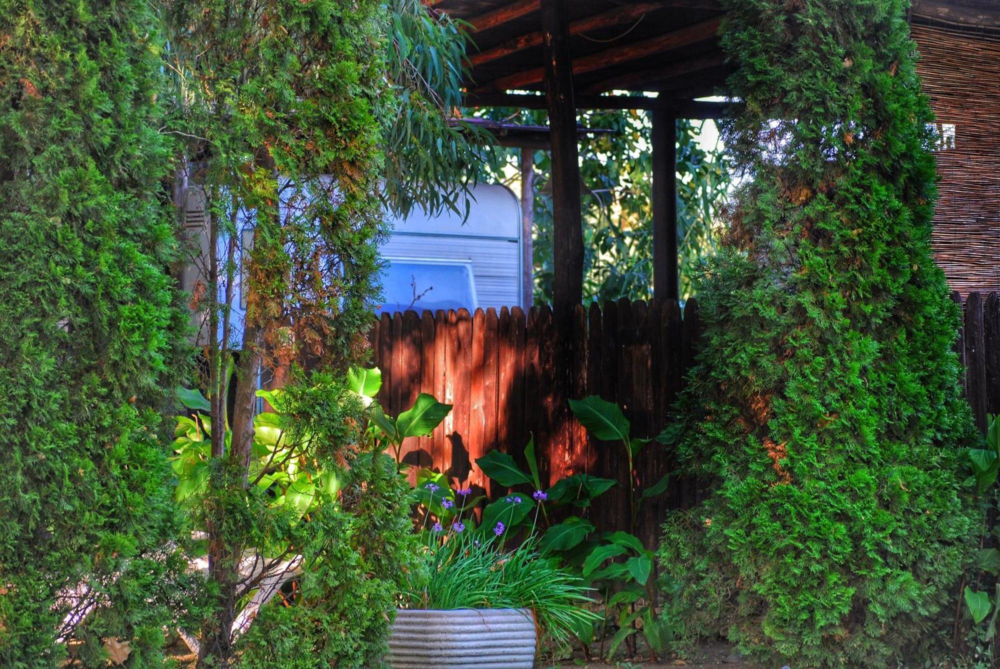 International Glamping Lago Di Bracciano Trevignano Romano Exterior photo