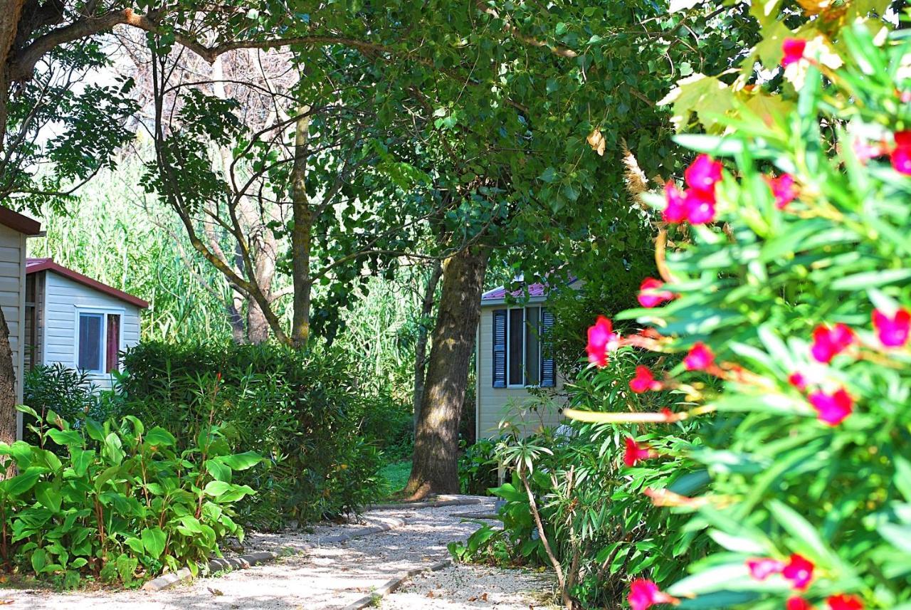International Glamping Lago Di Bracciano Trevignano Romano Exterior photo